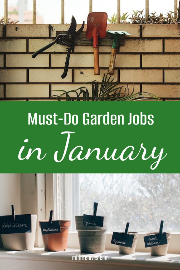 10 must do garden jobs in january