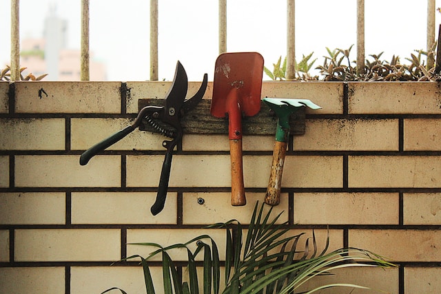 Garden tools hanging in shed